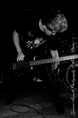 Erich Walle